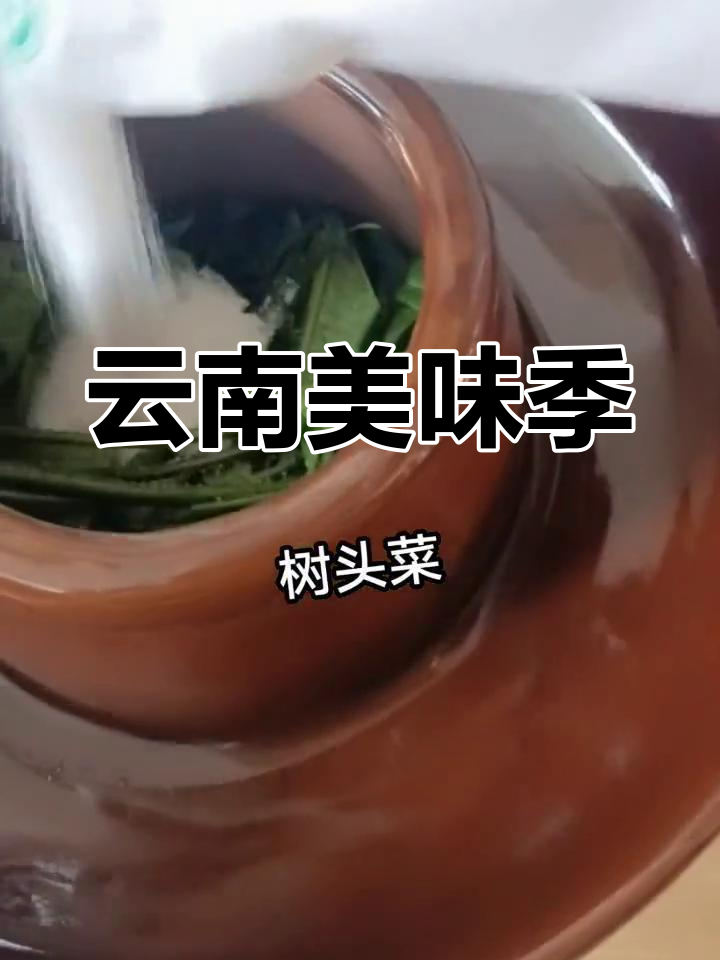 云南美食季节来临,分享家常做法,欢迎留言交流!
