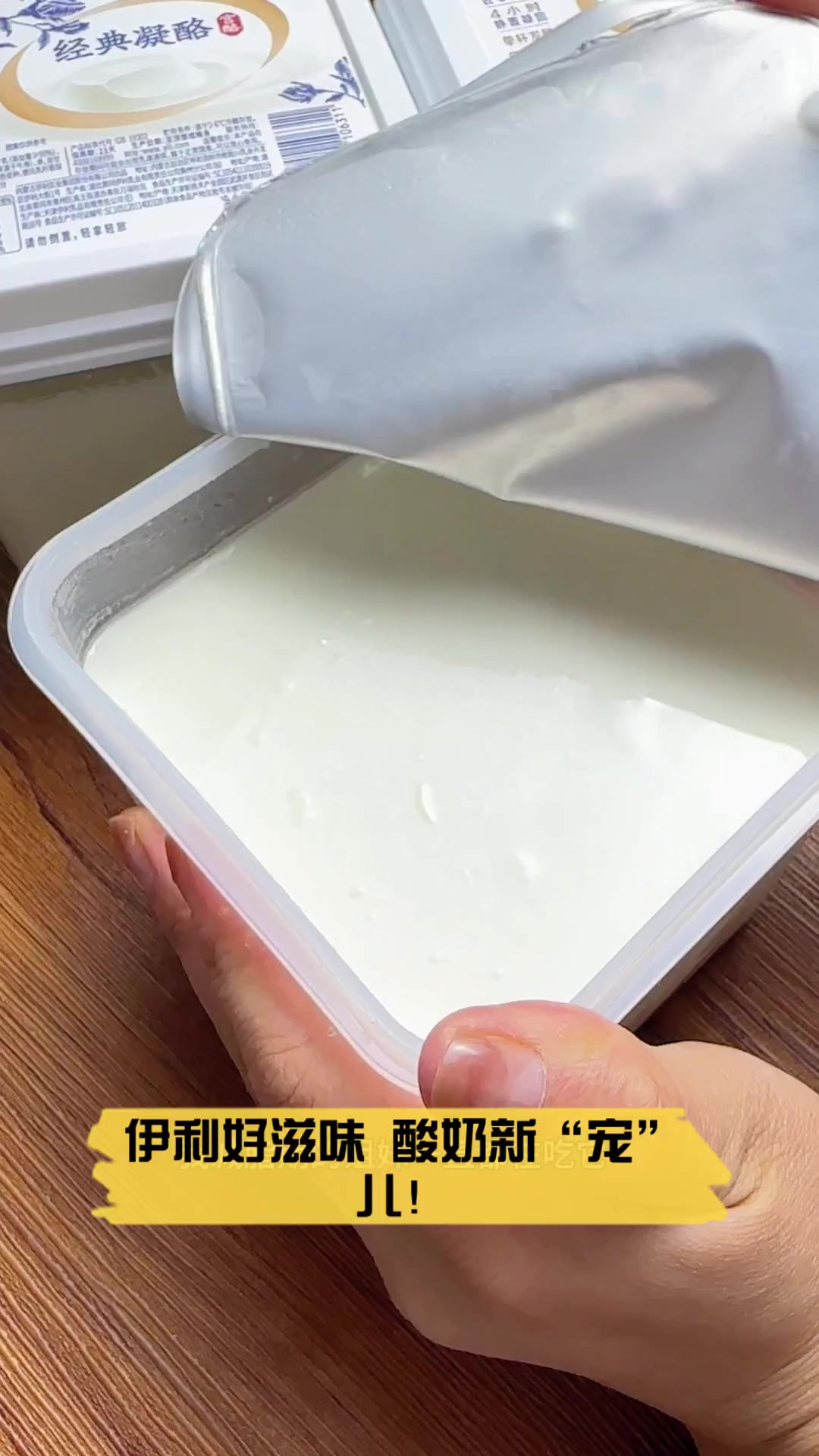 伊利好滋味,酸奶新“宠”儿!