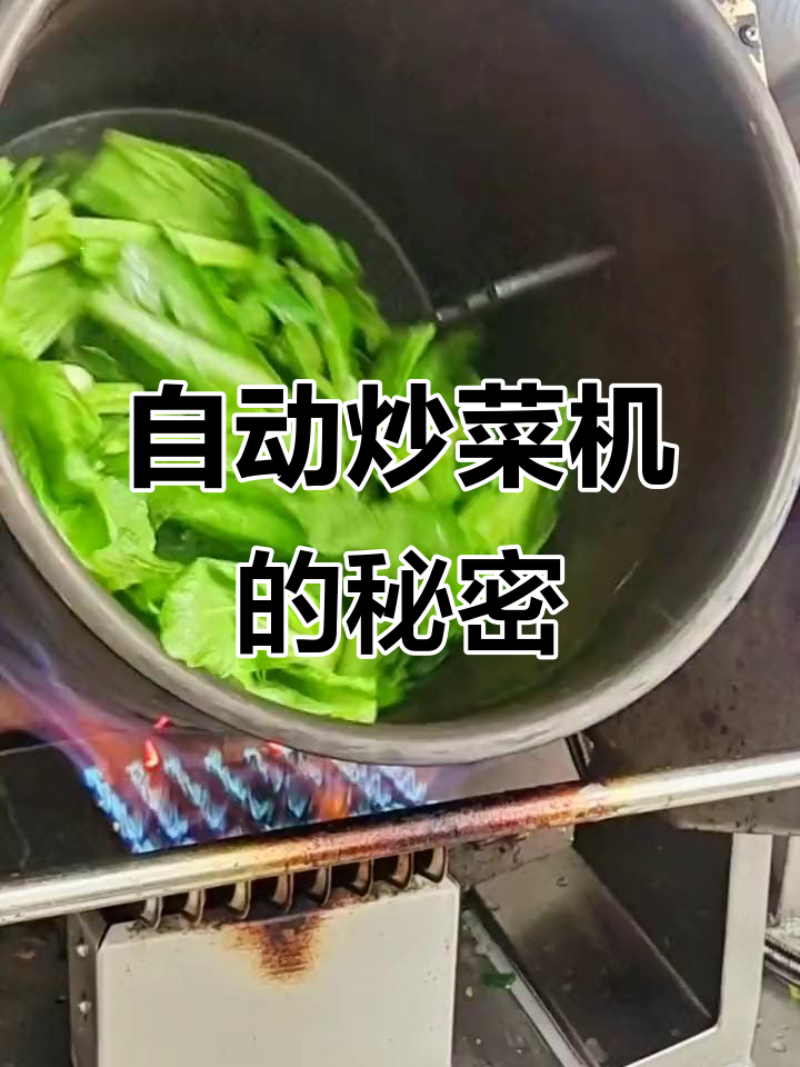 商用炒菜机大揭秘:自动滚筒设计,独立加热系统