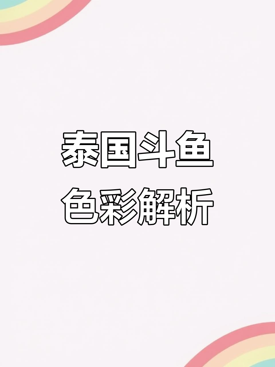 泰国斗鱼颜色大揭秘:从巧克力到外星人,品种多样你了解吗?