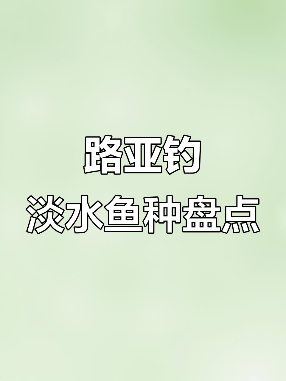 常见淡水路亚鱼种大揭秘,马口、鲈鱼、桂鱼全解析