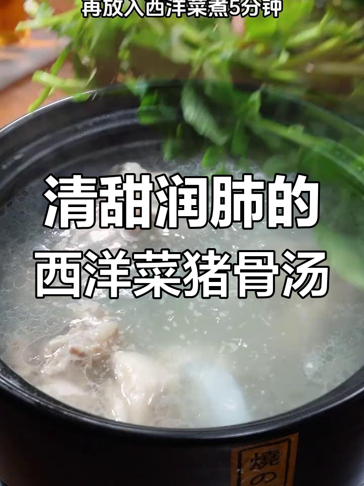 广东经典西洋菜陈肾汤,润肺又下火,简单易学