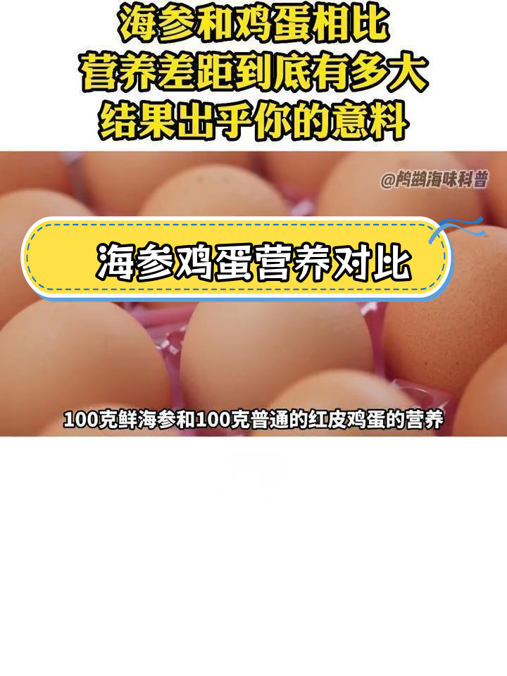 海参与鸡蛋的营养差异分析
