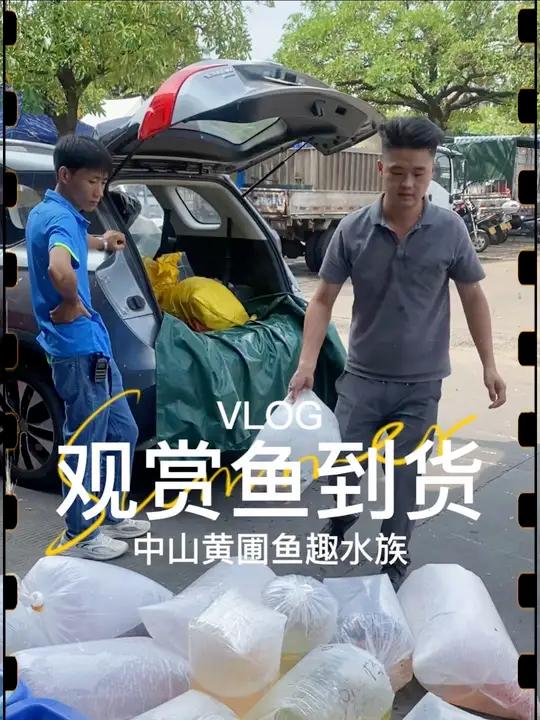 观赏鱼每周都有新货到,各种各样的鱼儿看的眼花缭乱~