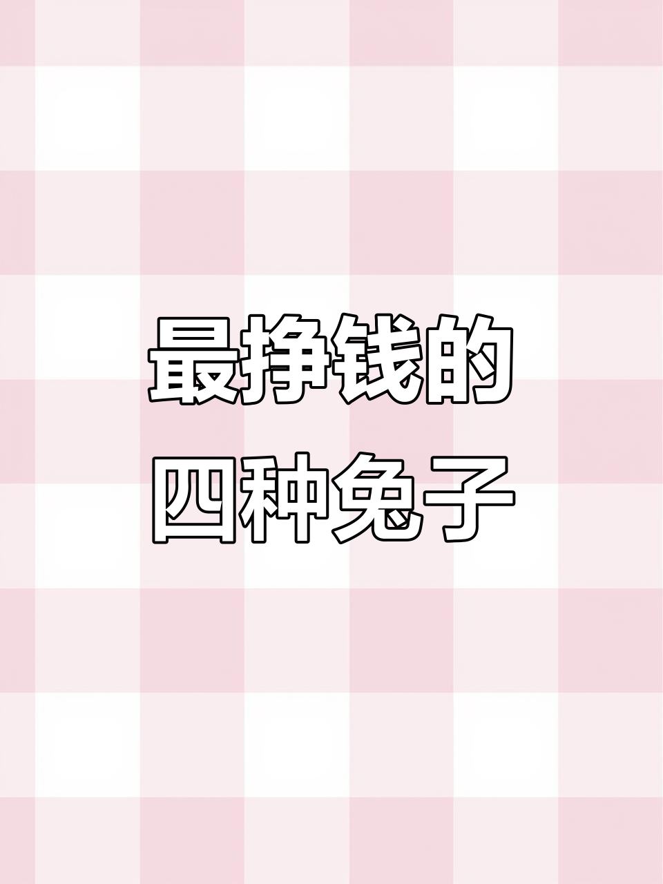 四种最赚钱的兔子品种,养兔人必看