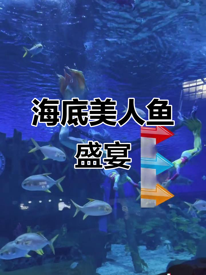 济南融创乐园美人鱼表演,带你进入梦幻海底世界
