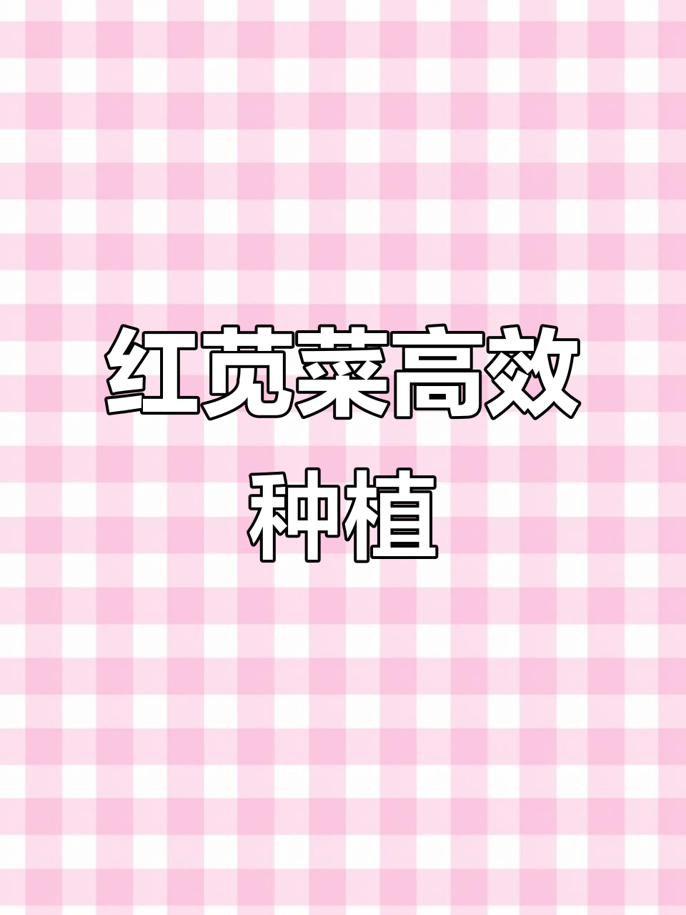 苋菜种植技巧：从播种到收获，轻松掌握
