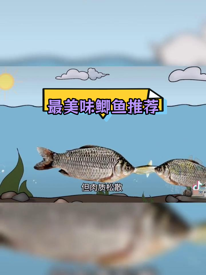 鲫鱼种类大揭秘,口感排名前八