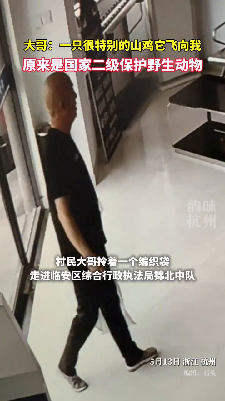 暖心大哥救助一只“山鸡”,原来是国家二级保护野生动物!
