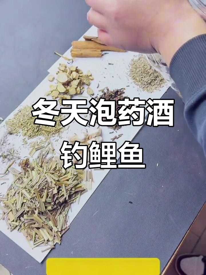 冬季钓鱼必备中药酒,选对材料效果翻倍