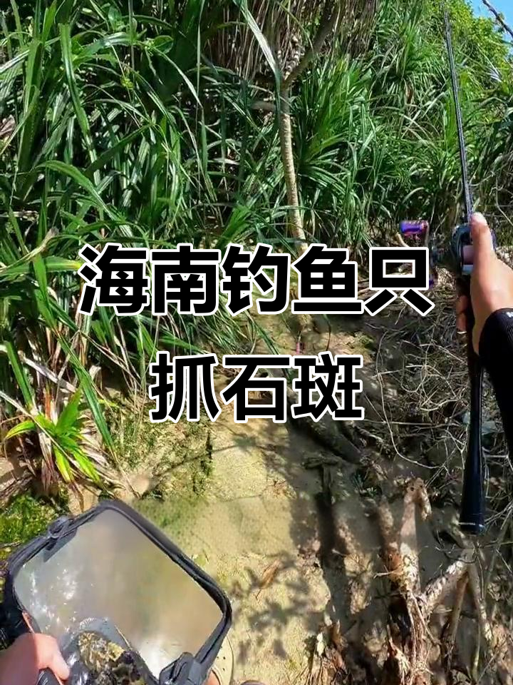 海南钓鱼只能钓石斑,羡慕内地朋友天天有鳜鱼