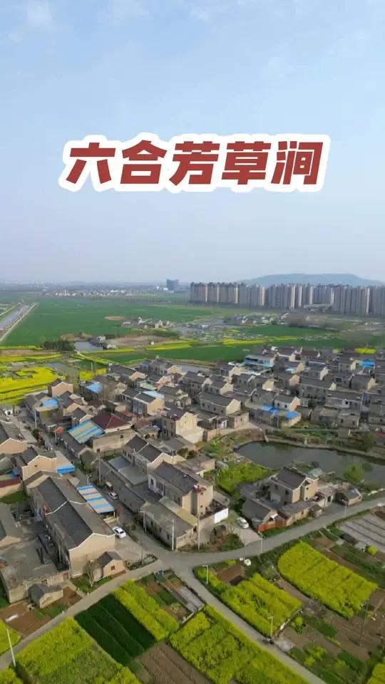 棠邑千秋 物换星移 这竟然就是韦应物笔下的芳草涧！#大美六合 #棠邑风华 #唐诗里的春天有