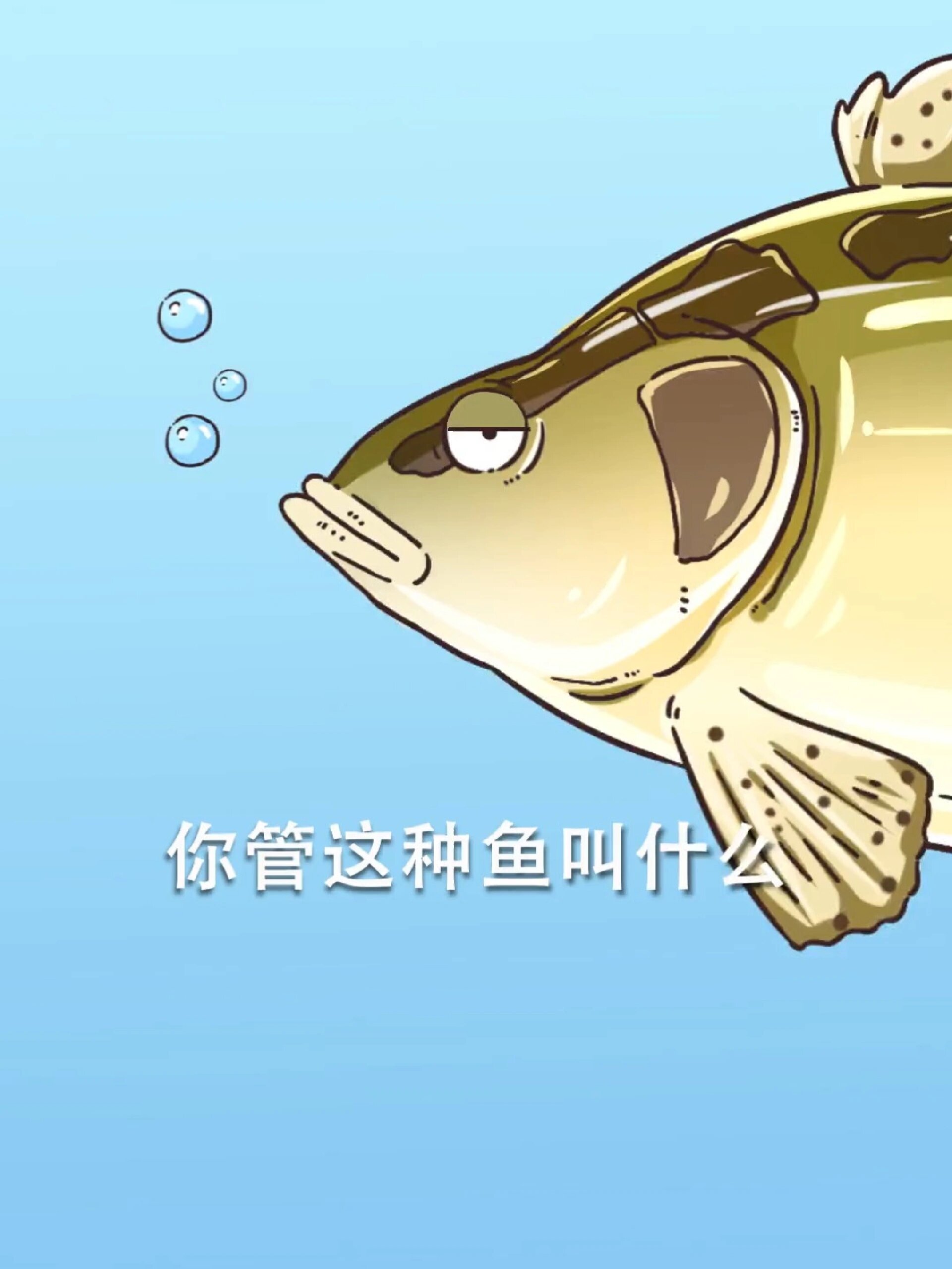 臭鳜鱼臭桂鱼到底是什么鱼