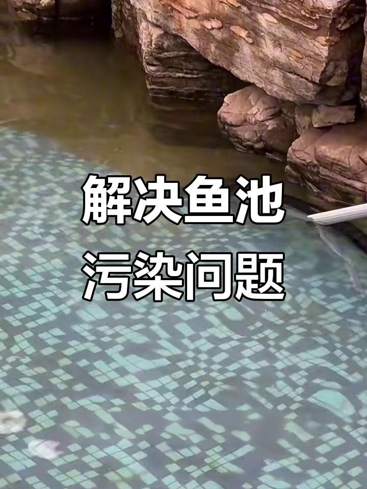 鱼池清污难题终于解决，效果超乎想象