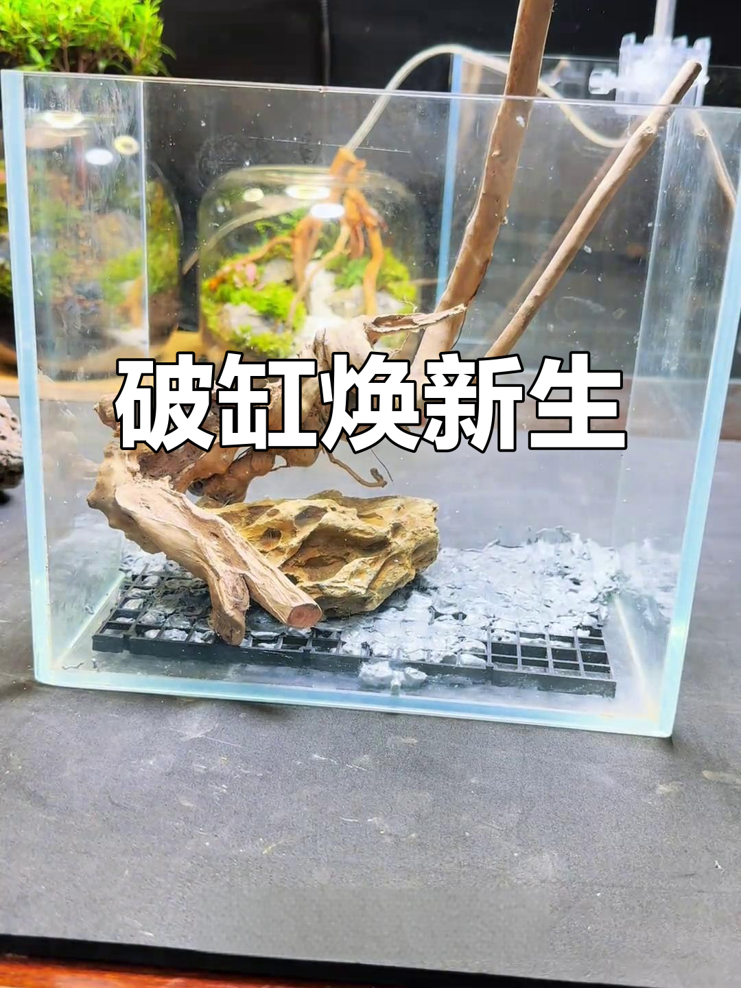 旧缸变新宝,改造后更显独特魅力