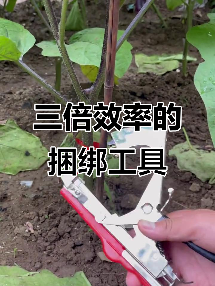 高效蔬菜绑扎机，助力三农提升效率