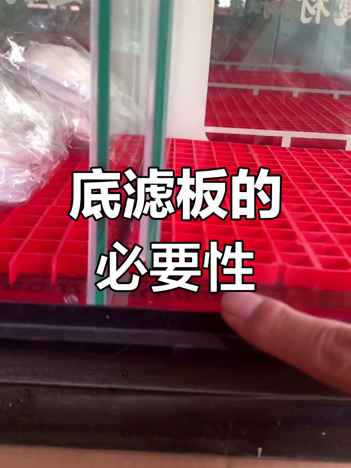 鱼缸底滤板的作用解析