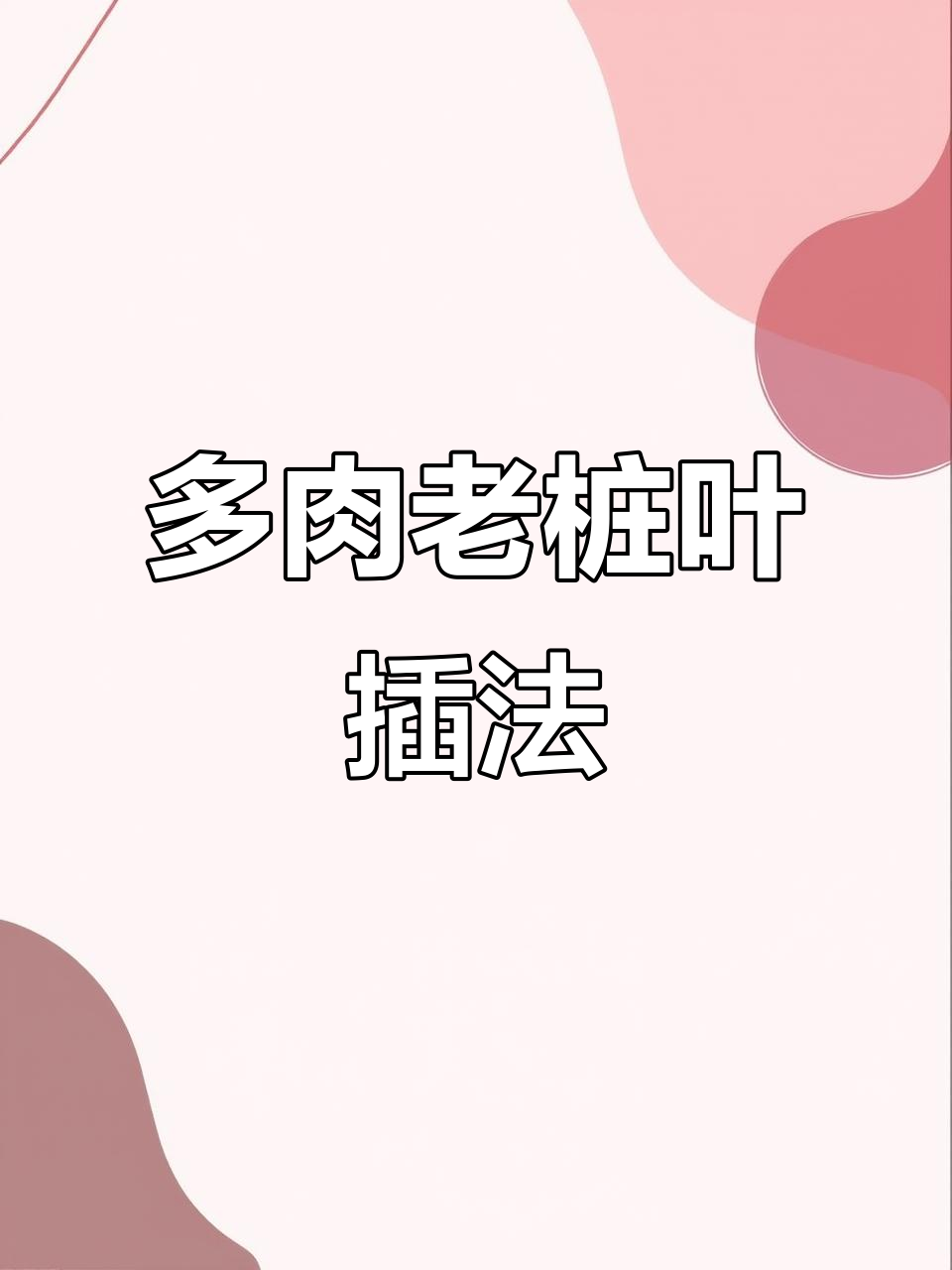 老桩多肉叶插技巧,一盆变两盆轻松搞定