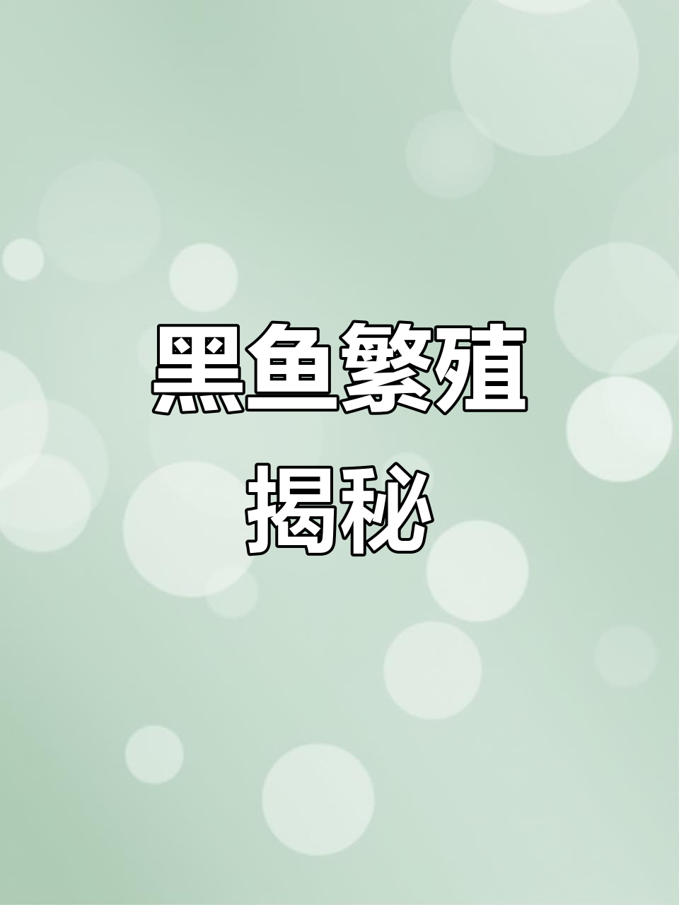 黑鱼繁殖全解析,了解这些要点轻松应对!
