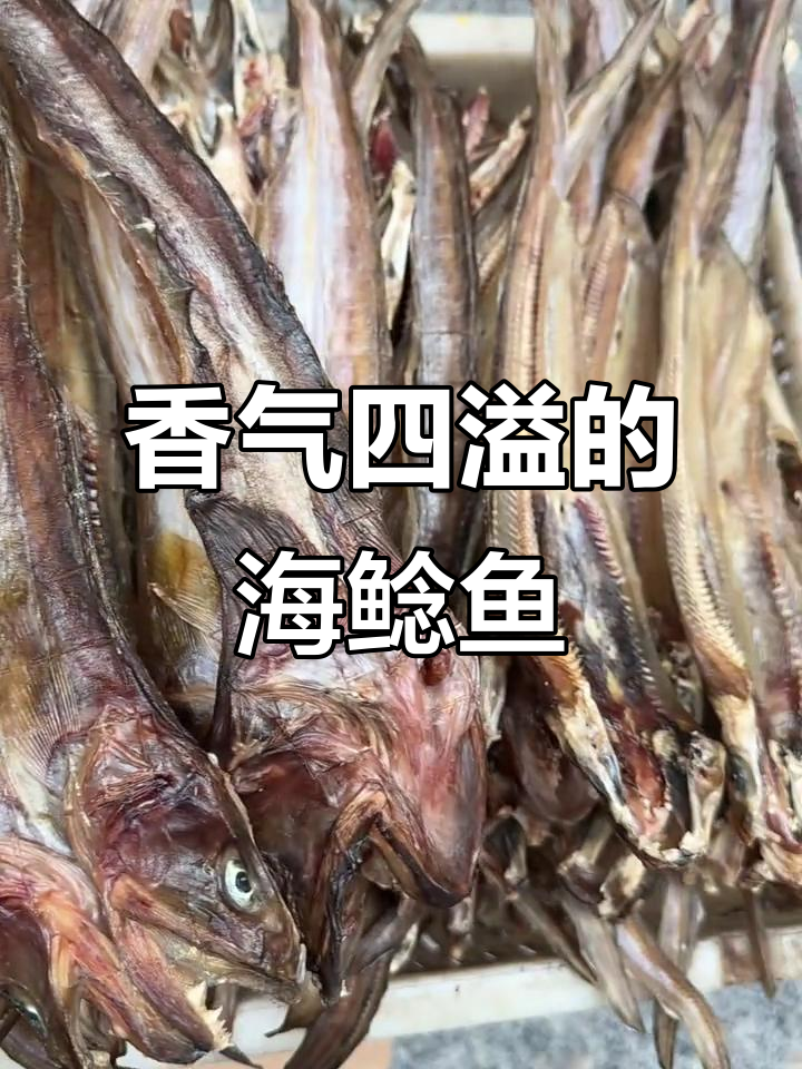 海鲶鱼干蒸10分钟,香葱姜丝小米辣提味