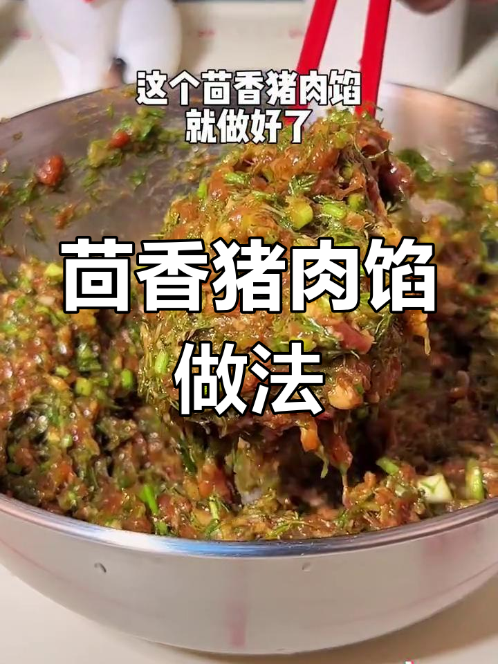 茴香猪肉饺子,鲜嫩美味秘诀