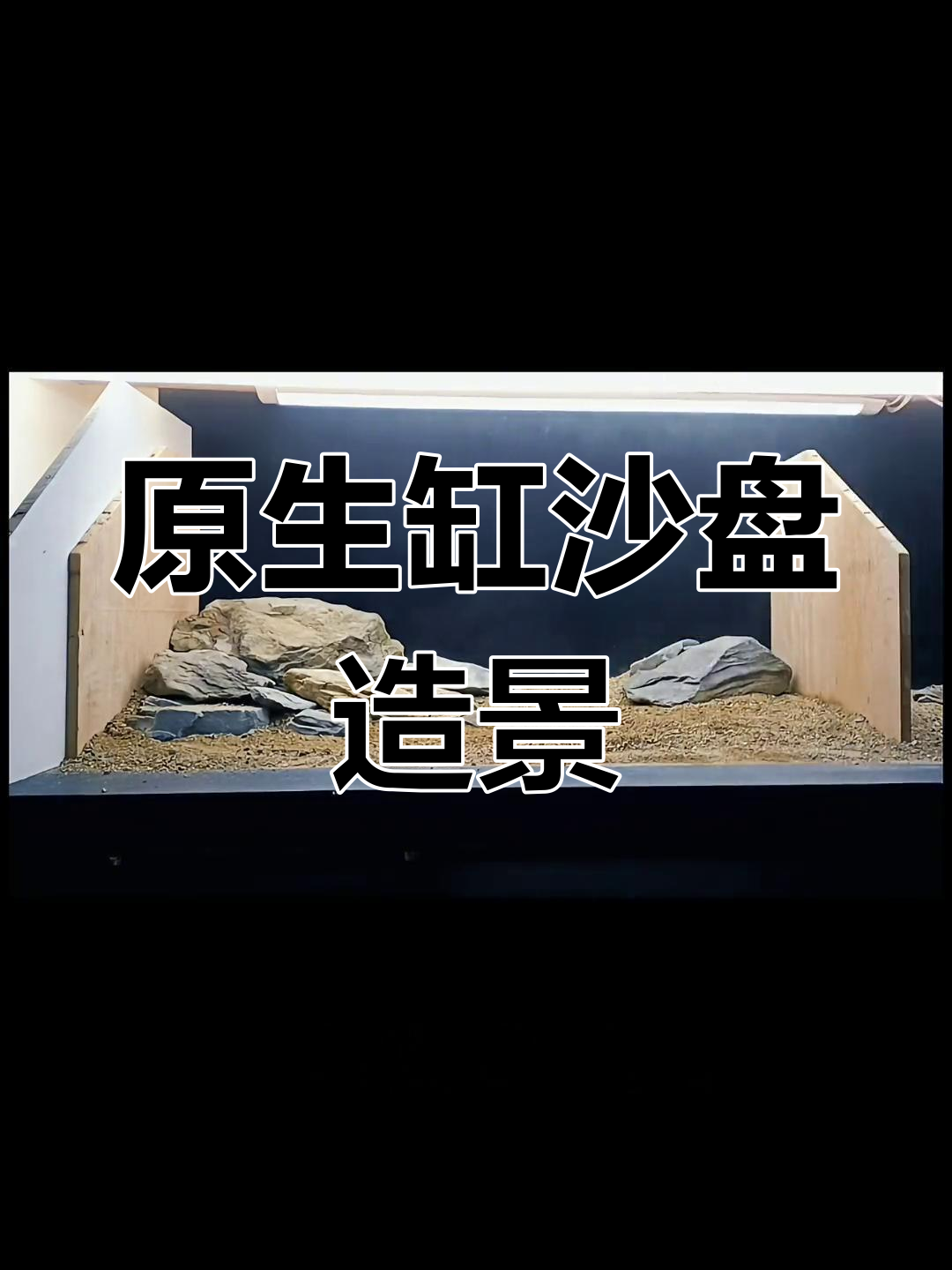 1米2原生缸造景技巧,打造层次感与美感并存