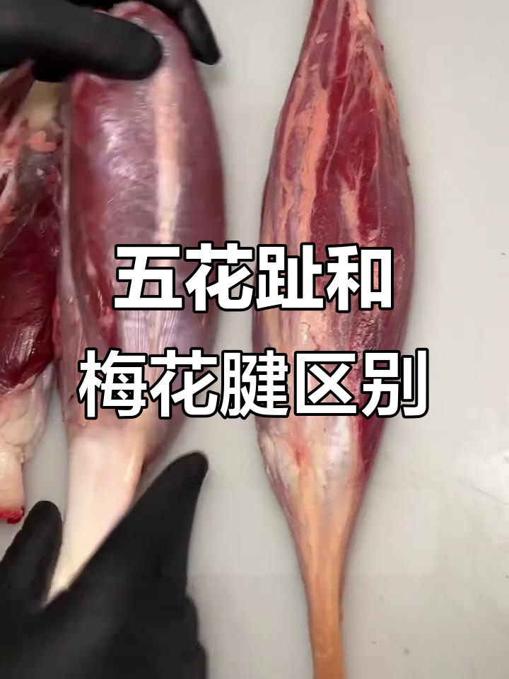 五花趾、金钱腱与梅花腱大揭秘,哪个才是最佳选择?