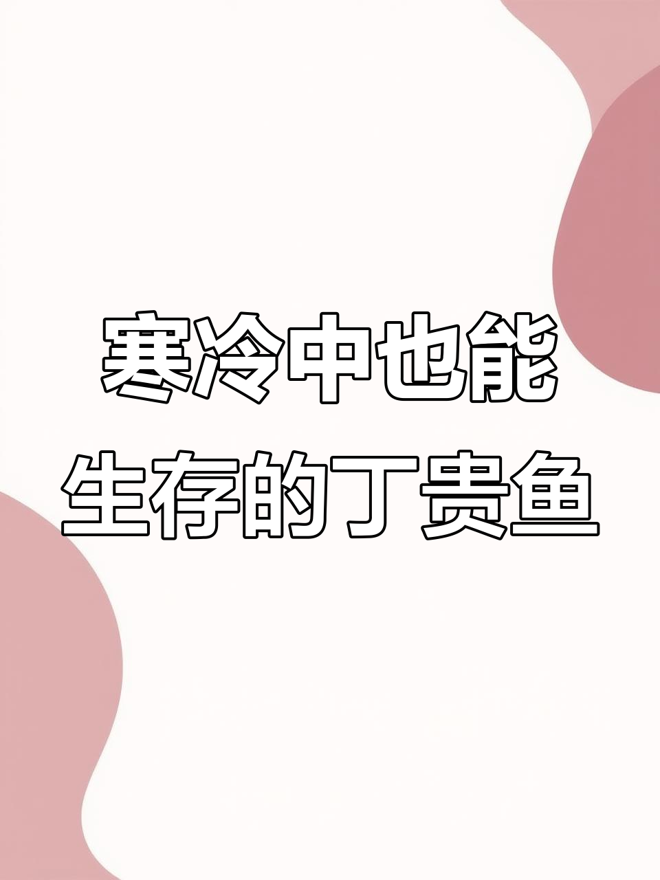 丁桂鱼:耐寒抗冻,冷水养殖的优质食用鱼苗