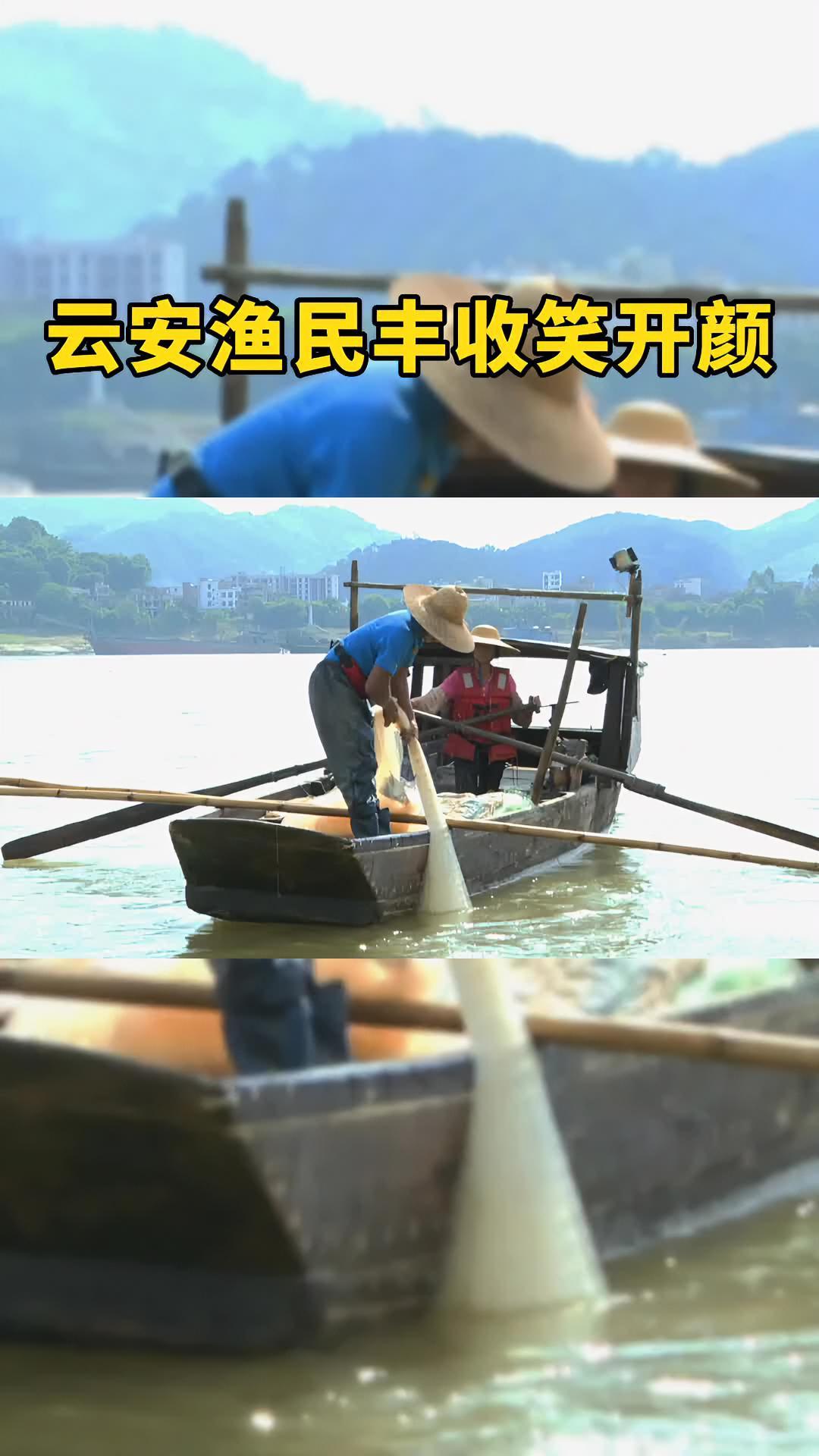2022年珠江流域禁渔期结束了,渔民们陆续恢复捕捞作业,西江水域一派忙碌丰收的景象 云浮 