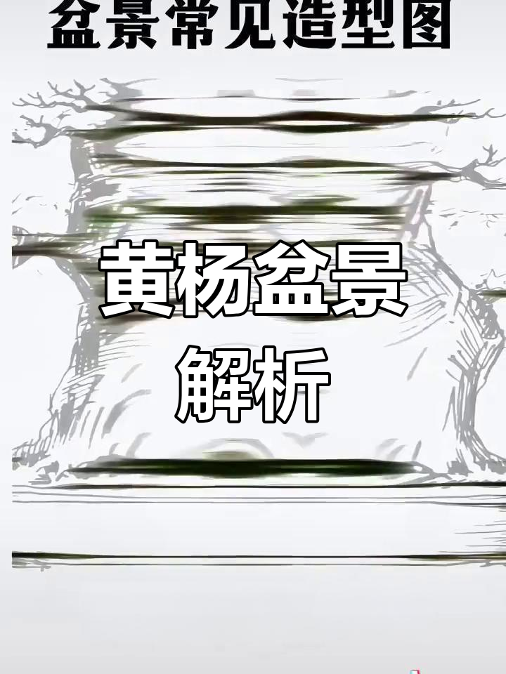 继续分享黄杨盆景造型,收藏图解与视频!