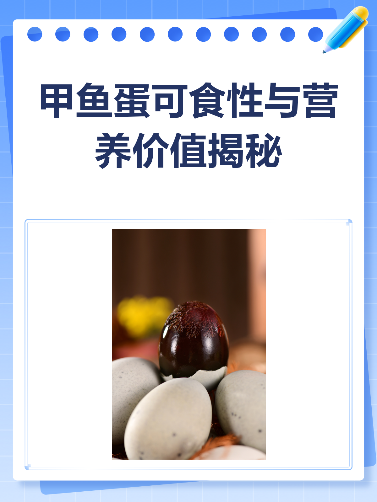 甲鱼蛋能吃吗?营养价值大揭秘!