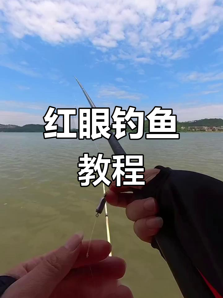 钓红眼鱼技巧大揭秘,六星沟与饵料搭配全攻略