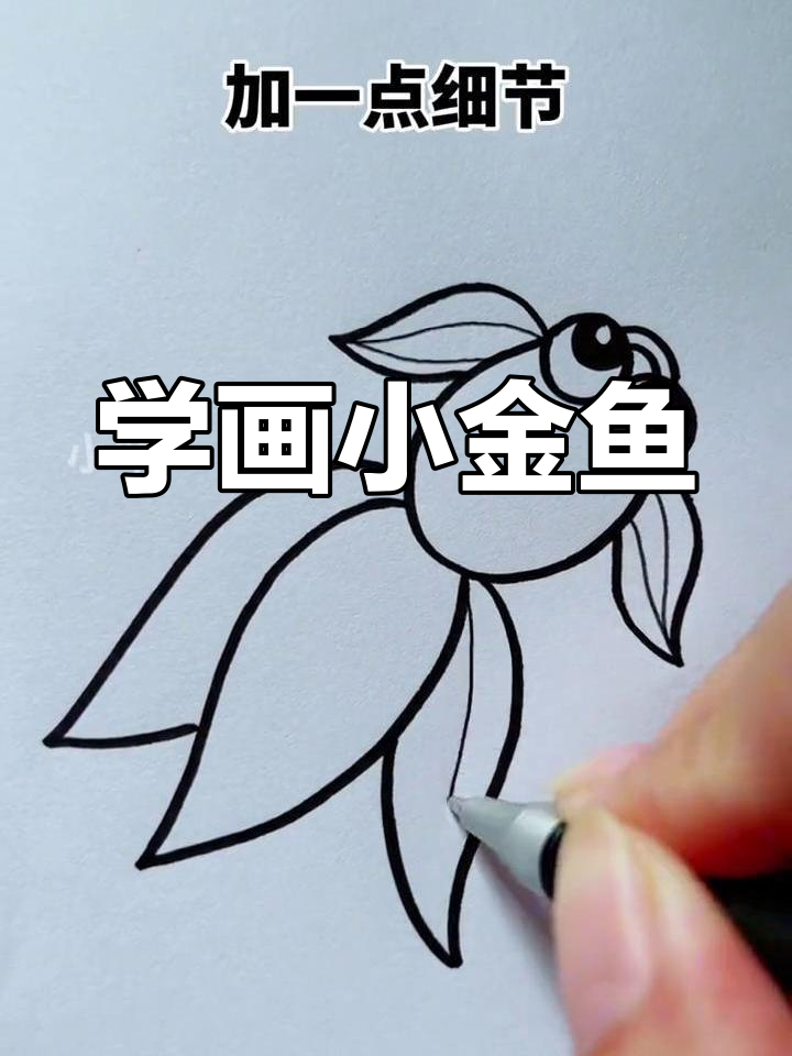 简单几步画出小金鱼