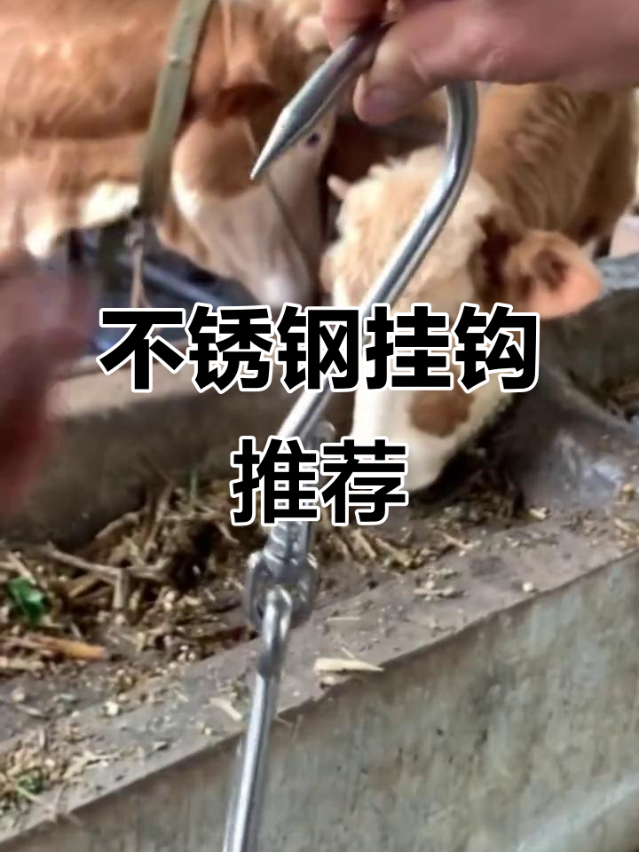 304不锈钢大号挂肉钩子,万向转换连接设计更稳固