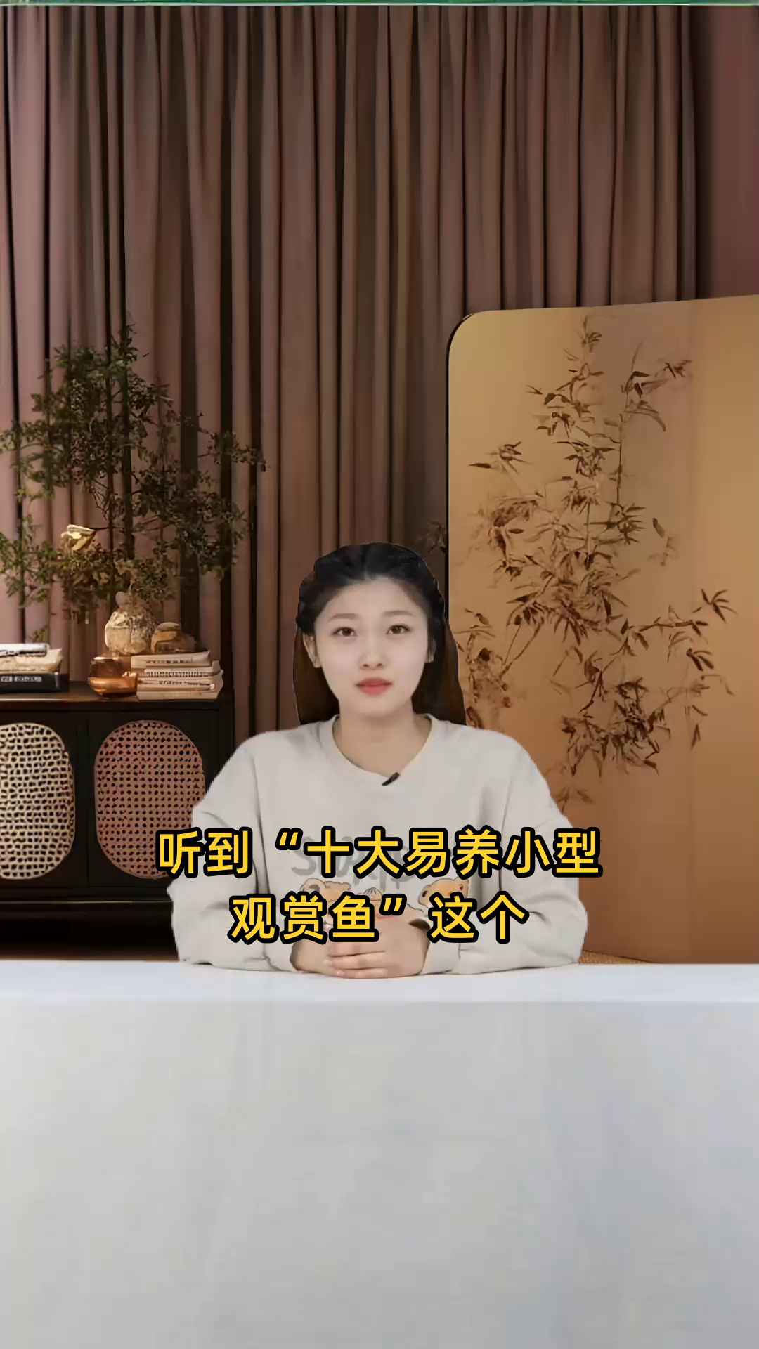 小型观赏鱼种类推荐及养殖技巧,适合家庭水族箱的鱼类