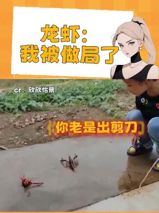 龙虾:我一定是被做局了 搞笑