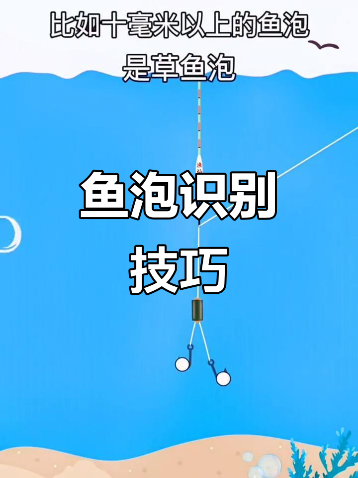 如何通过鱼泡判断鱼的种类和位置