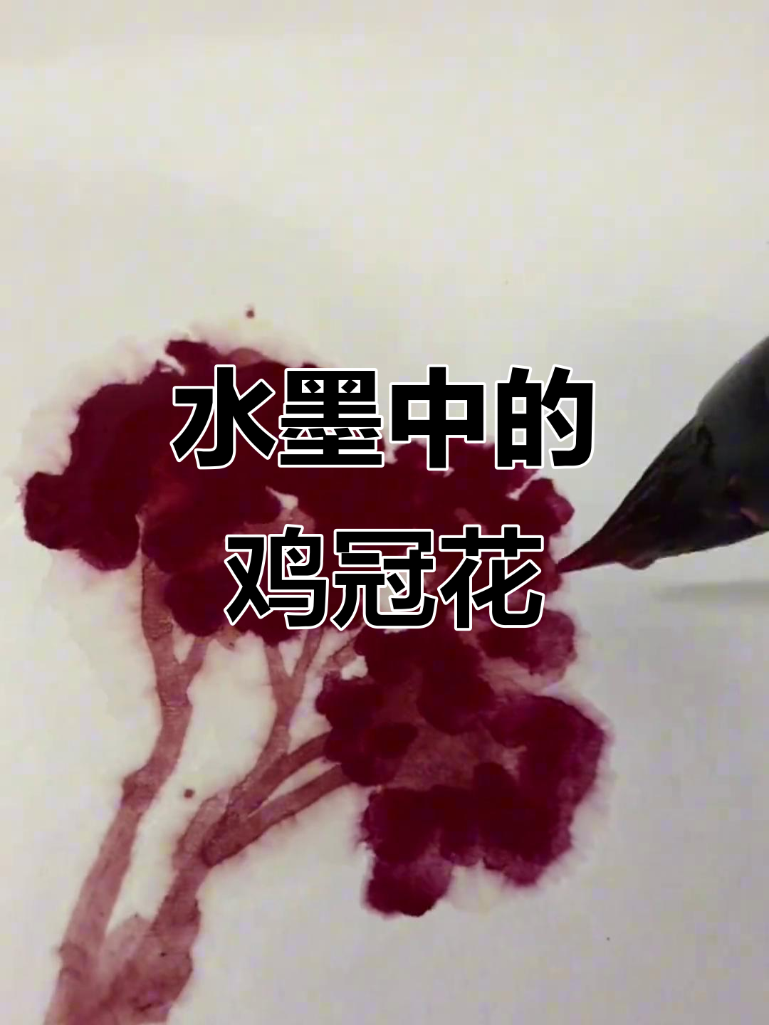 鸡冠花水墨写生,感受国画意境之美