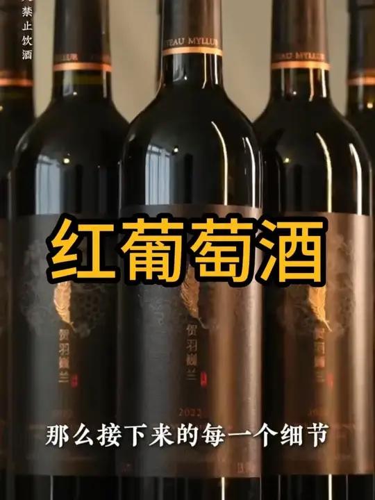 由宁夏贺兰山东麓的葡萄黄金产区酿造而行 销量和评价已经是它最好的口碑,想感受葡萄酒的美好吗
