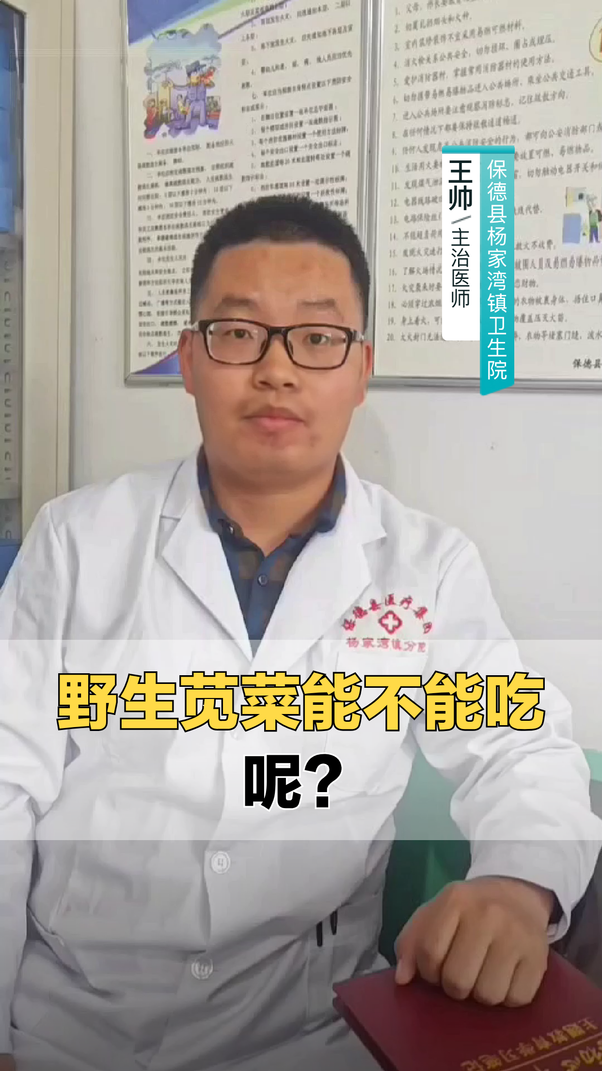 野生苋菜能不能吃呢?