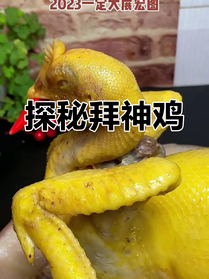 拜神鸡的秘密:传统与信仰的故事