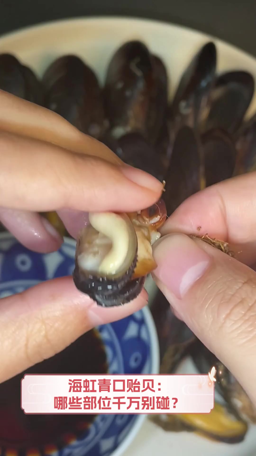 海虹青口贻贝:哪些部位千万别碰?
