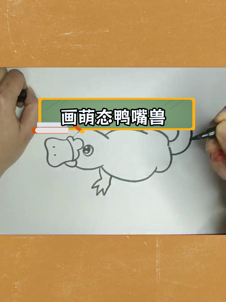 可爱鸭嘴兽简笔画教程