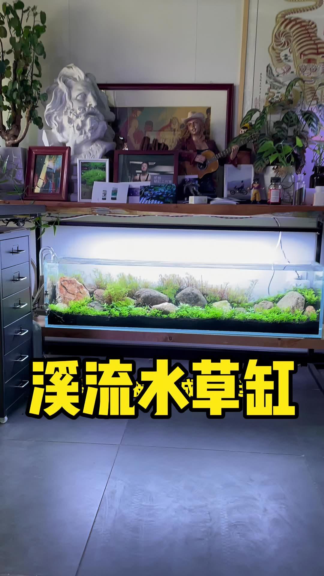 这次是桌子底下的溪流水草缸……开缸一时爽,腰板两行泪……水族 水草缸 鱼缸 养鱼