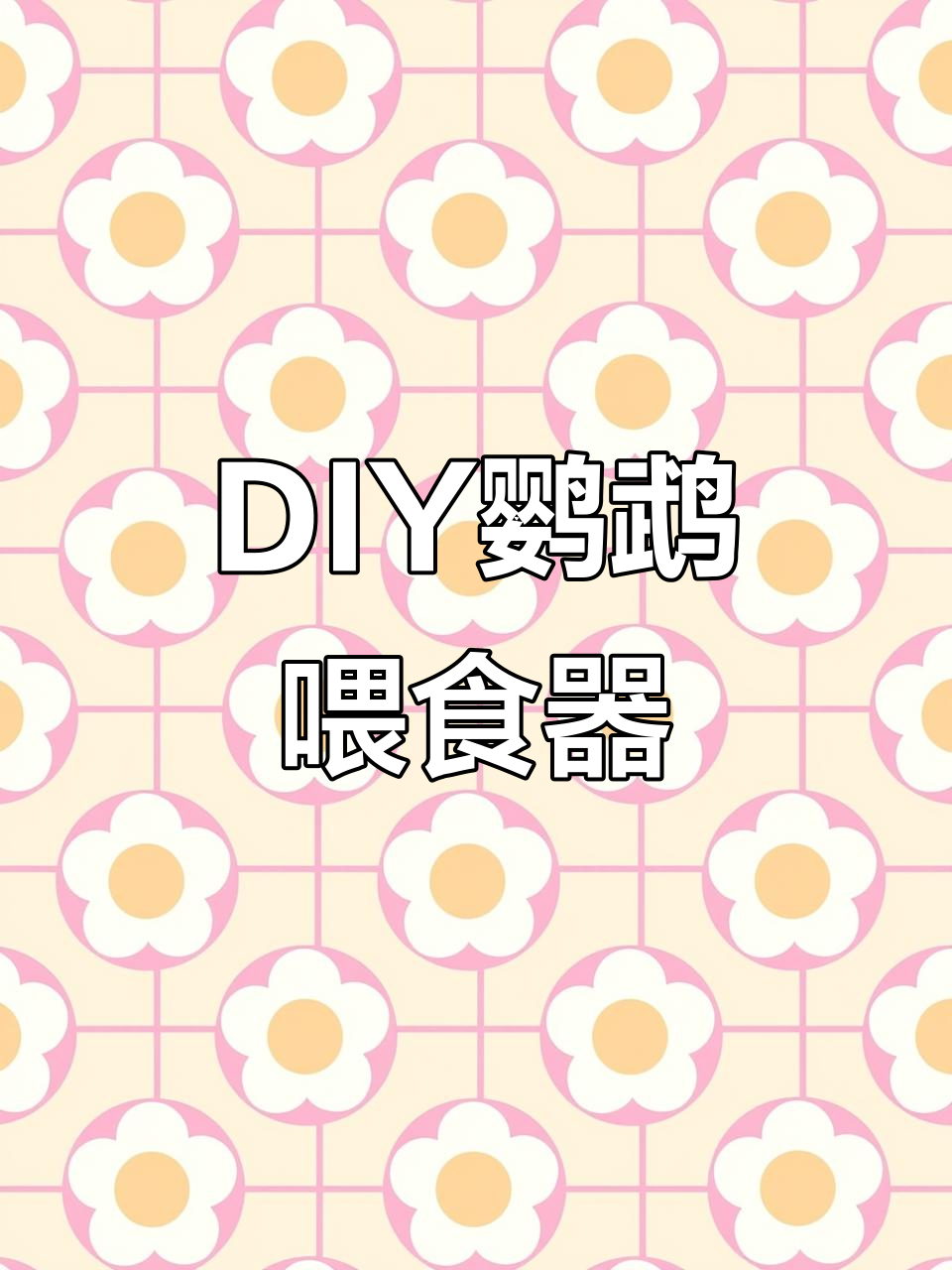 自制鹦鹉自动喂食器,省钱又有趣!