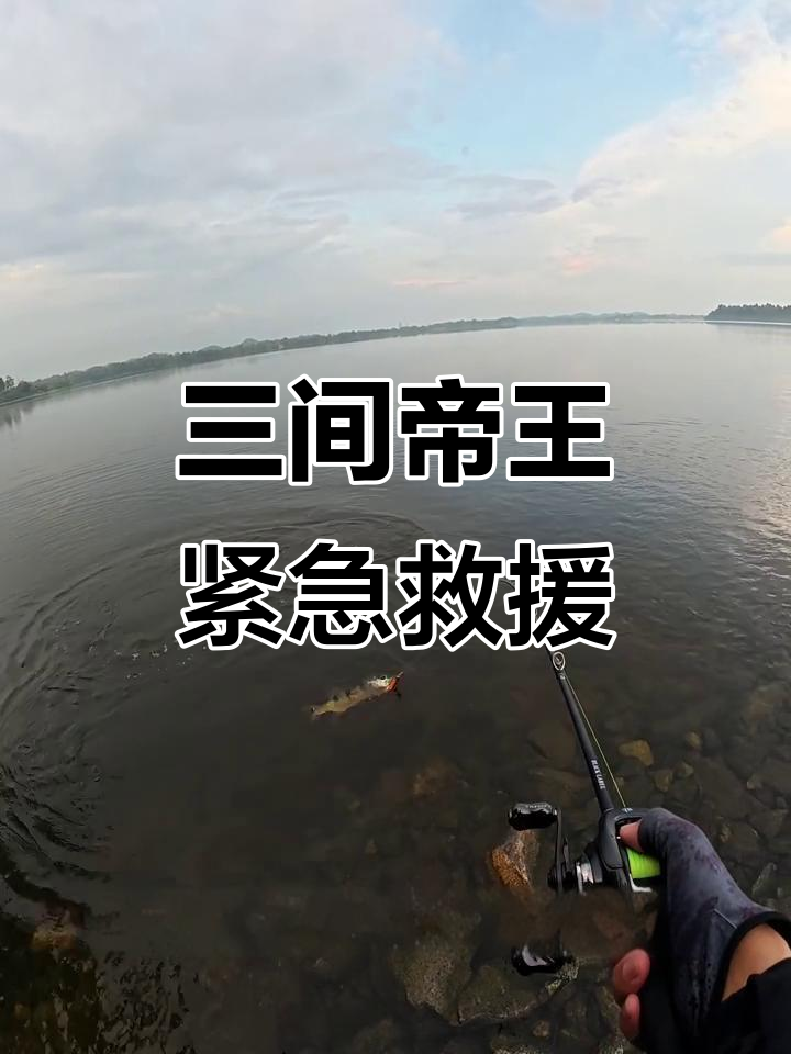 帝王三间惊险救援,落水瞬间成功接应