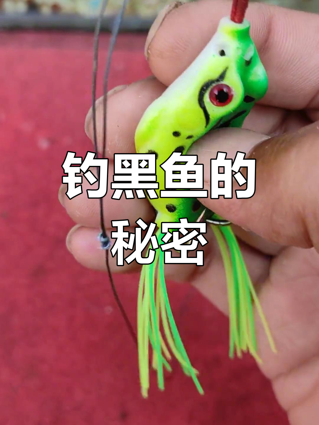 黑鱼的天敌,雷蛙跳底技巧让你轻松捕获滑口黑鱼!