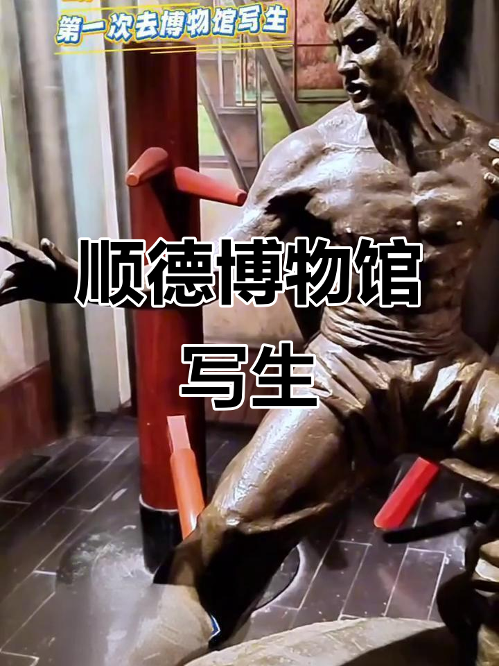 顺德博物馆简笔画,生活美学与治愈时光