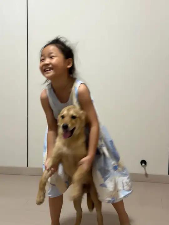 谁的童年还没有一只小黄狗呢