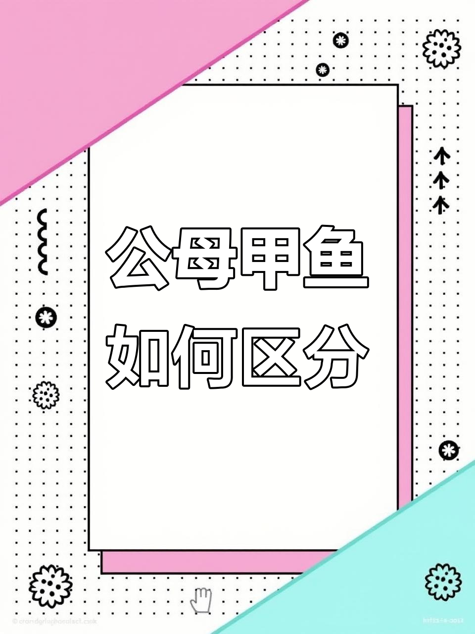 甲鱼公母怎么分辨?抖音大神们来解答